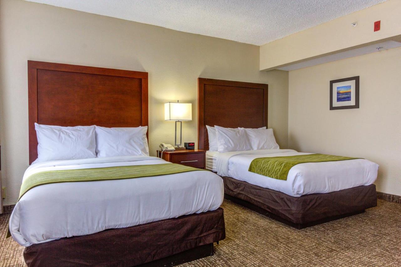 Comfort Inn St Petersburg North Екстериор снимка