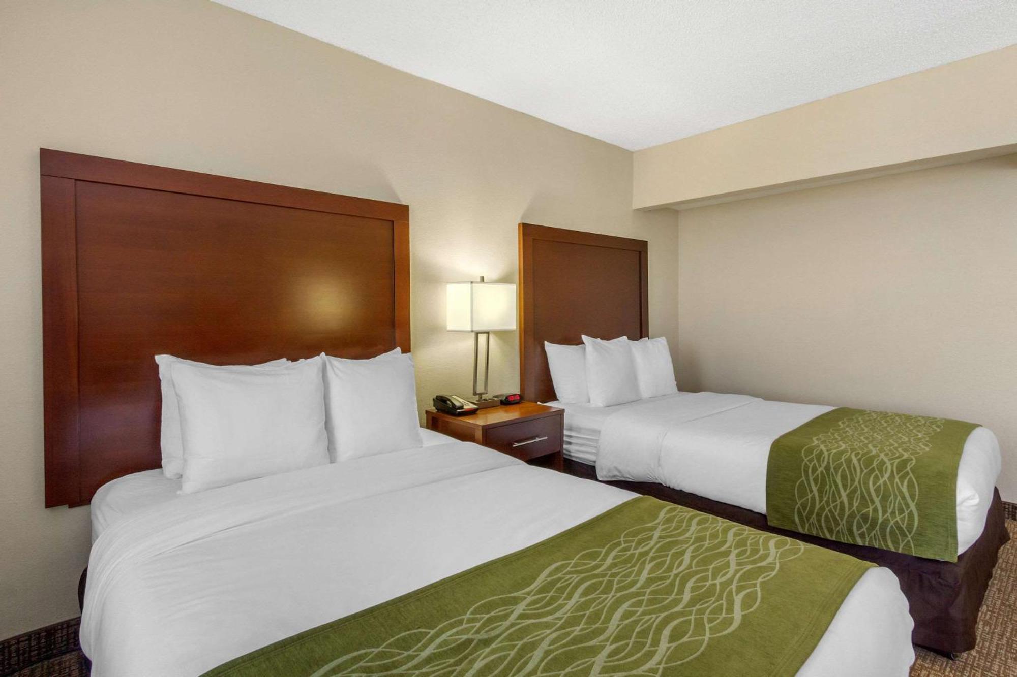 Comfort Inn St Petersburg North Екстериор снимка