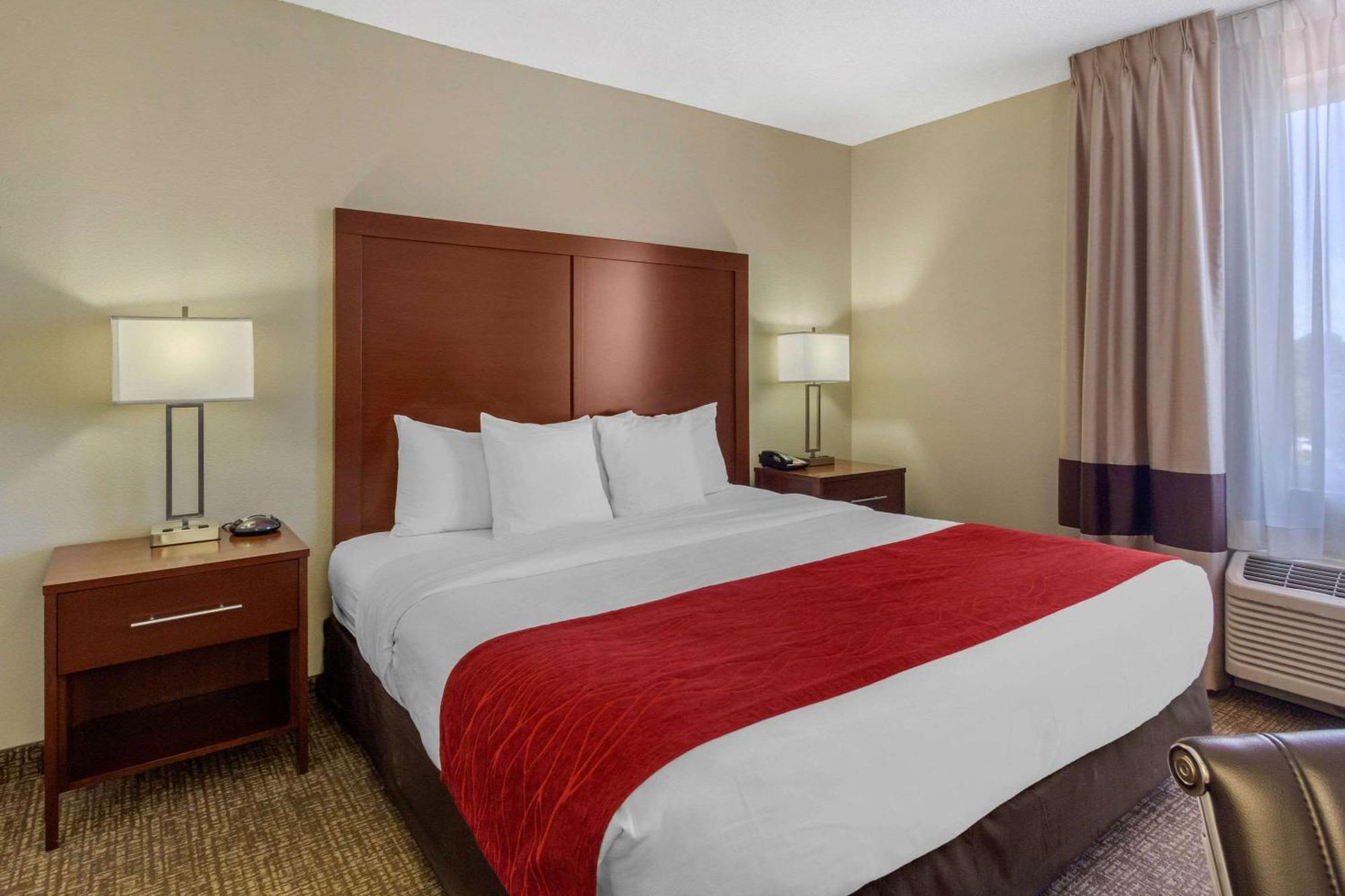 Comfort Inn St Petersburg North Екстериор снимка