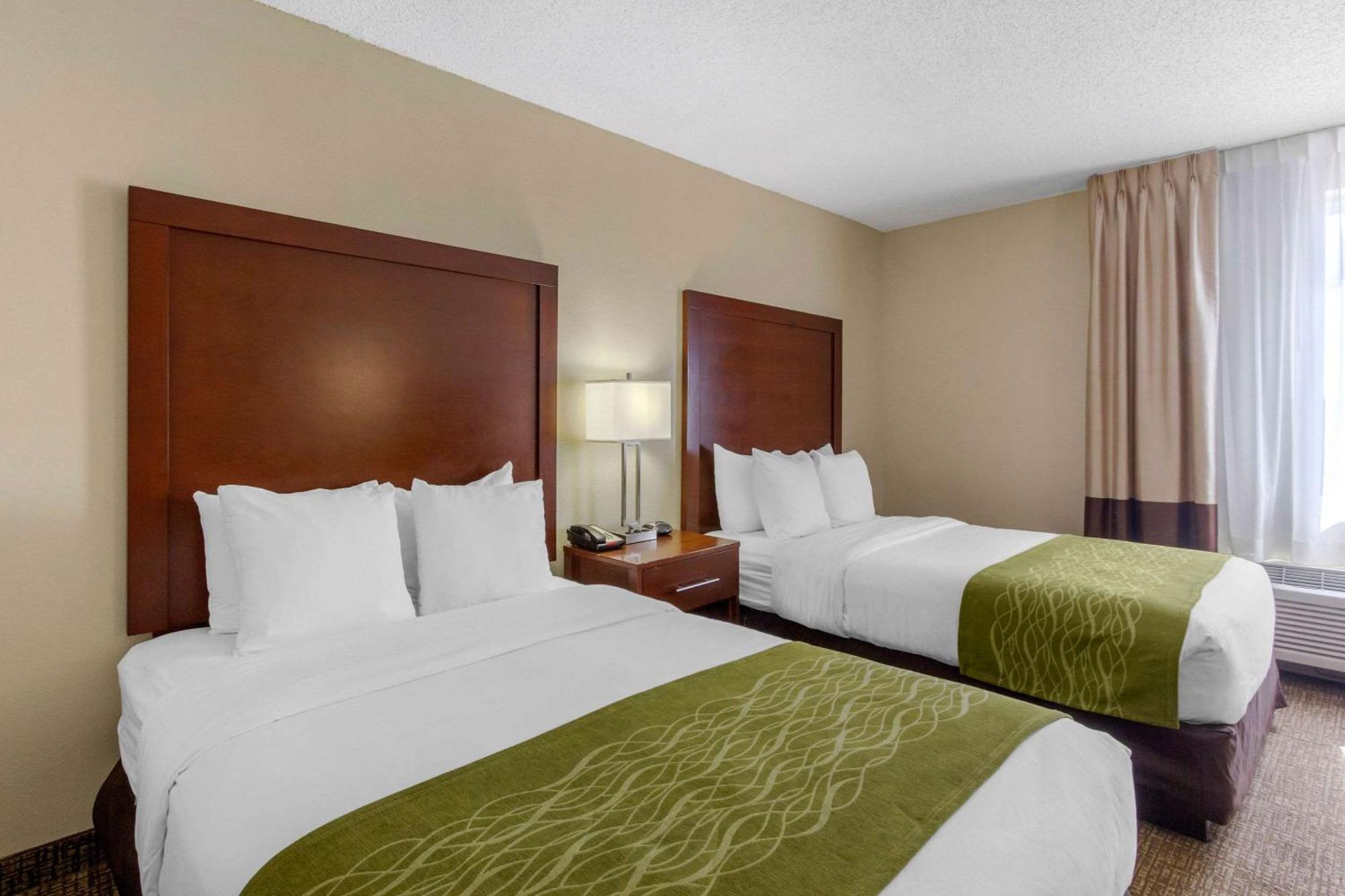 Comfort Inn St Petersburg North Екстериор снимка